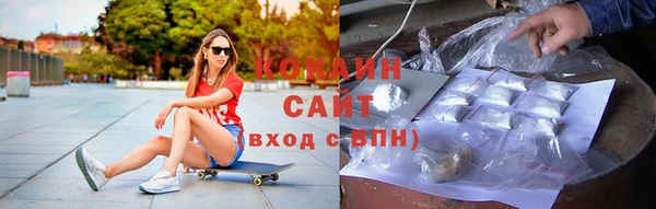 шишки Кукмор