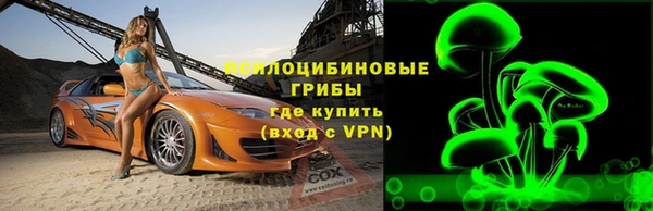 СК Краснослободск