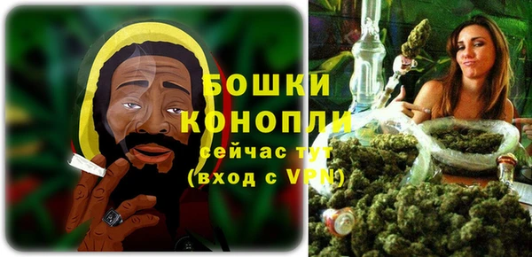 СК Краснослободск