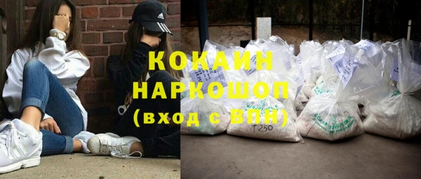 шишки Кукмор