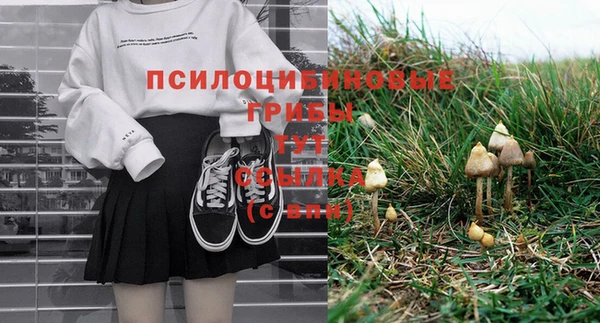шишки Кукмор