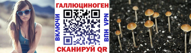 ОМГ ОМГ вход  Сосногорск  Псилоцибиновые грибы ЛСД 